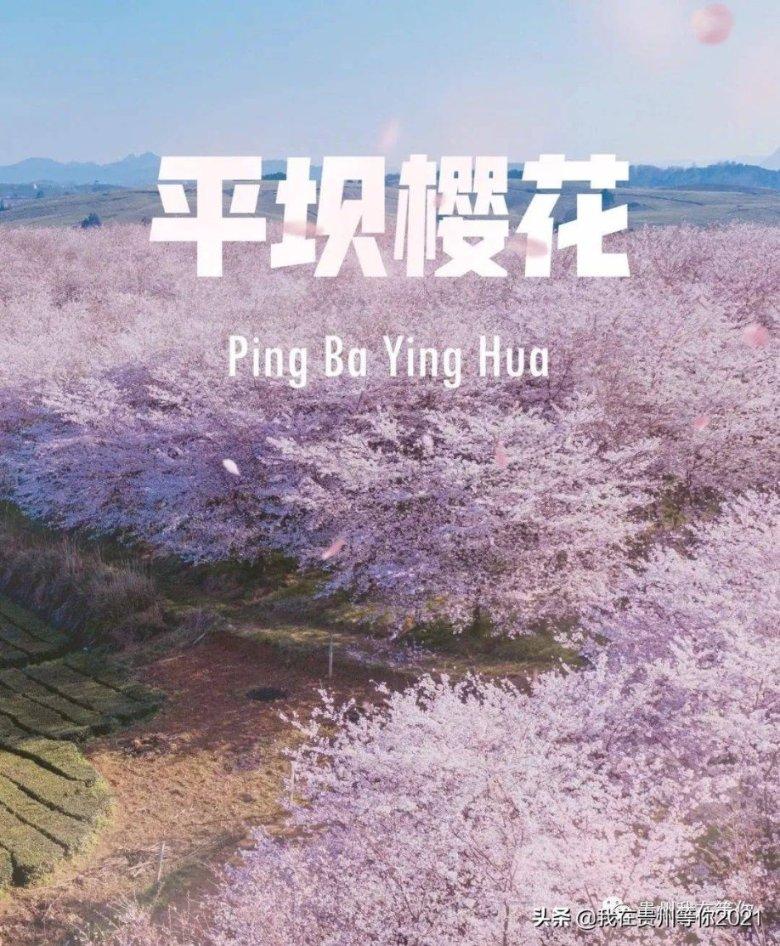 夏日网上购物